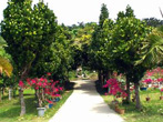 Miyakojima Tropical Botanical Garden